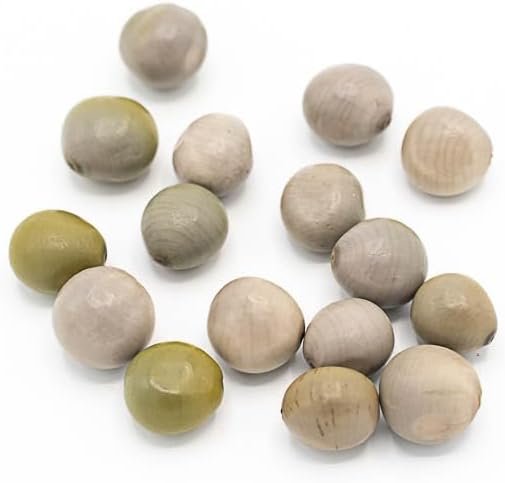 50 Natural Caesalpinia Bonduc Seeds for Awalé – Handcrafted African Strategy Game – Authentic & Traditional